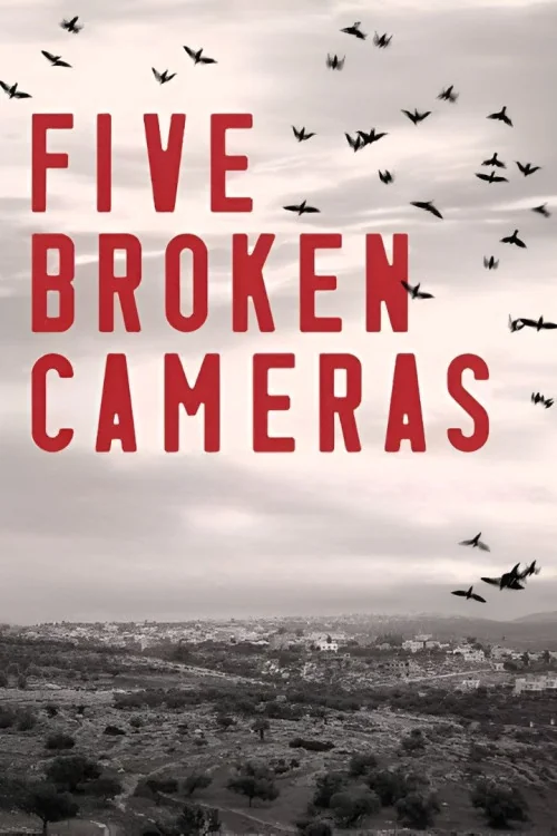 5 Broken Cameras