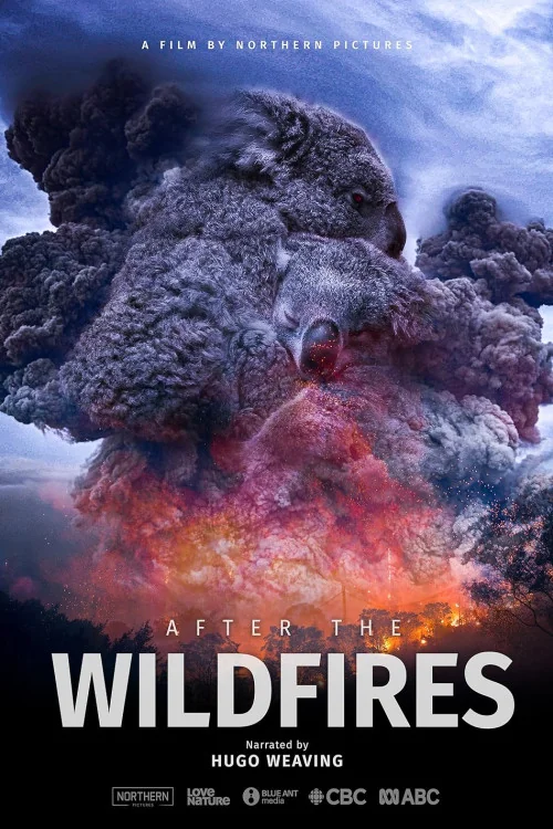 After the Wildfires