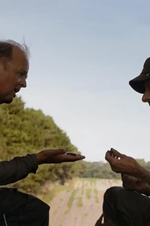Detectorists Special