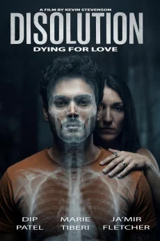 Disolution
