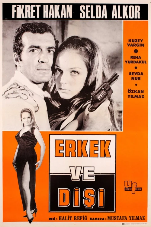 Erkek ve disi