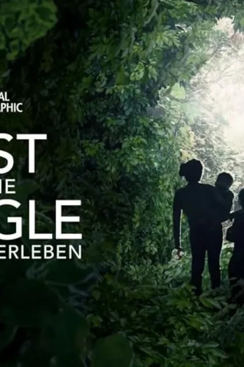 Lost in the Jungle