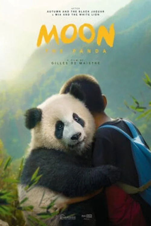 Moon the Panda