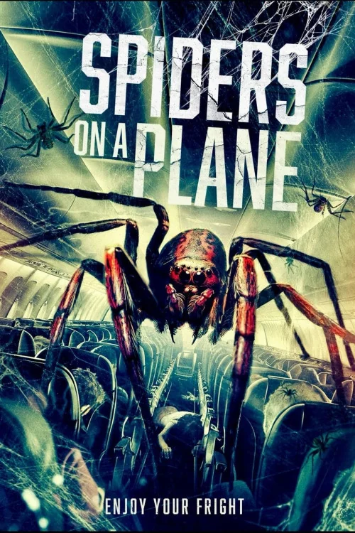 Spiders on a Plane