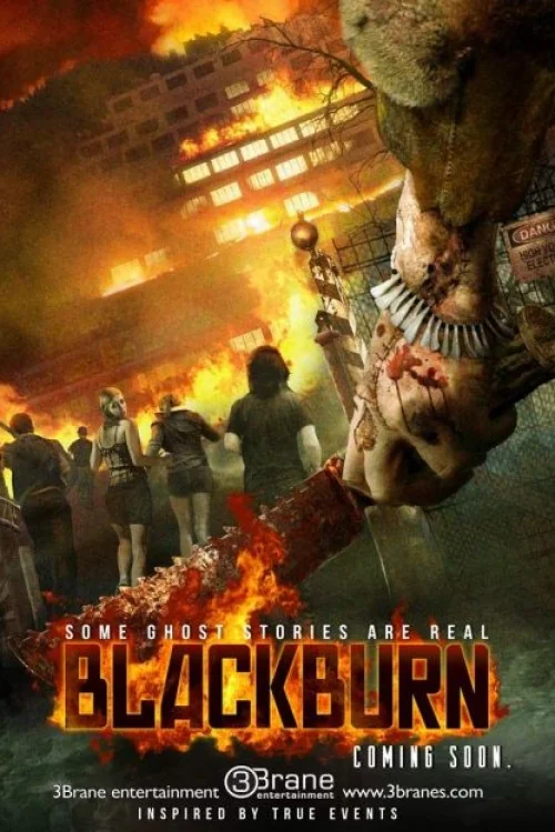 The Blackburn Asylum