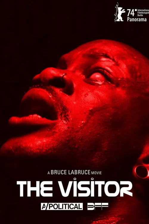 The Visitor