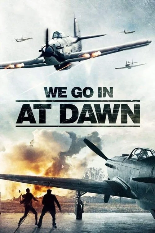 We Go in at Dawn